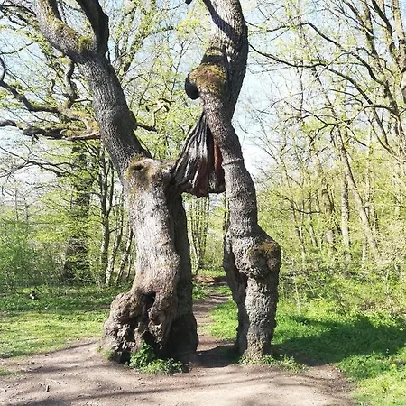 Апартаменты Zur Erlebnisschmiede Kammerforst